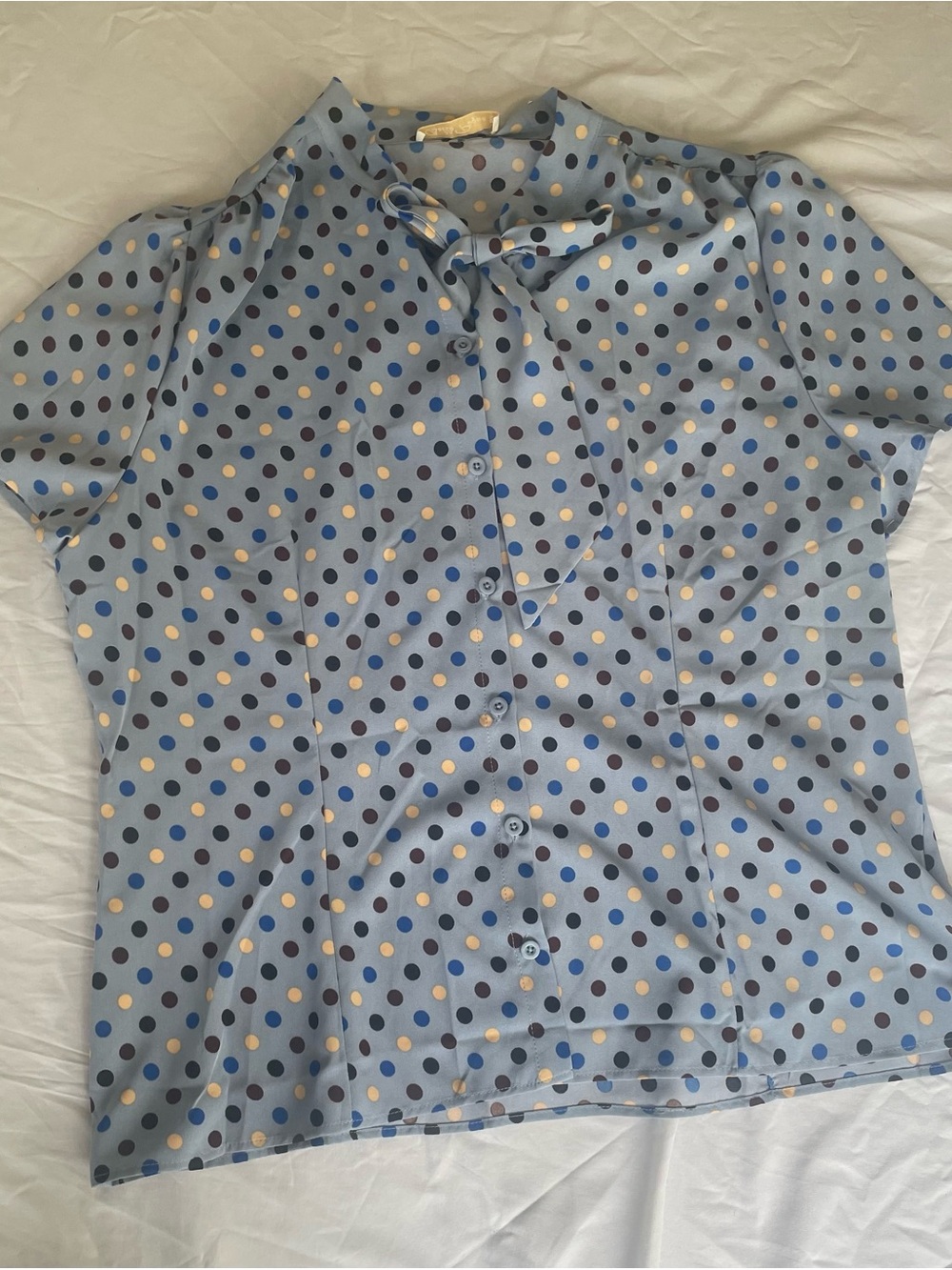 Light Blue Polka Dot Tie-Neck Blouse